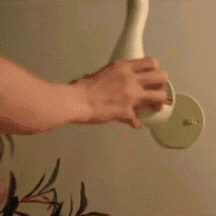 Luma Peacock LED Wall Lamp